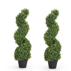 two potted plants are shown in the shape of a spirally shaped topiary