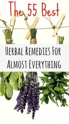 Herb Remedies, Holistic Remedies, Homeopathic Remedies, Homemade Remedies, Natural Health Remedies