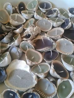 many seashells are sitting on the table together, some have candles in them