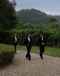 three men in tuxedos walk down a gravel path near bushes and trees on a cloudy day