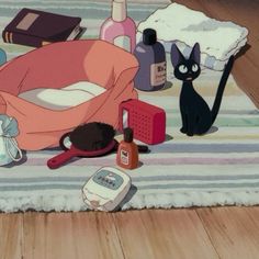 a cat laying on top of a rug next to other items