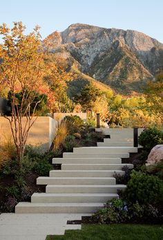 the steps lead up to an outdoor garden area with mountains in the backgroud