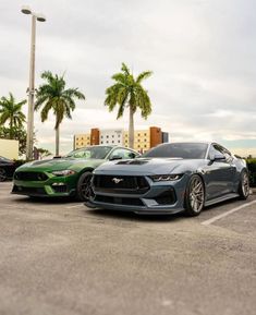 two cars parked in a parking lot next to palm trees