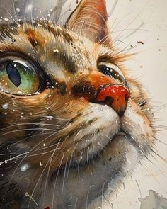 a painting of a cat's face with water droplets on its eyes and nose