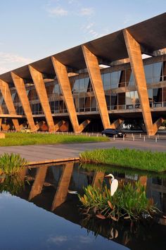 a large building sitting next to a body of water with a swan standing in front of it