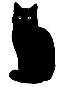 a black cat is sitting down and looking at the camera