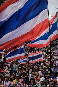 a large group of people holding flags in the street