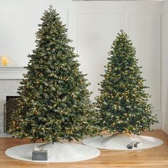 two christmas trees sitting on top of white plates