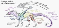 a drawing of a dragon with different parts labeled on it's body and neck