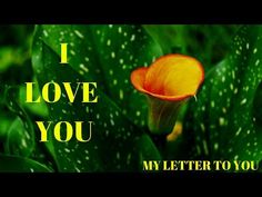 an orange flower with the words i love you written on it in yellow and green