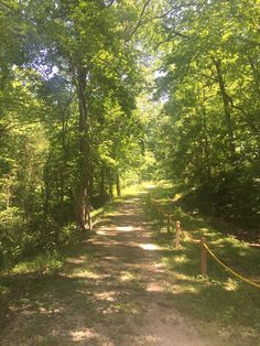 a dirt road surrounded by green trees and yellow caution tape on the side of it