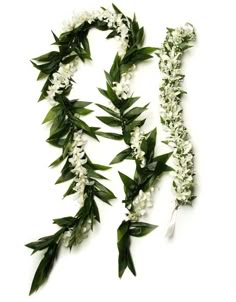 some white flowers and green leaves on a white background