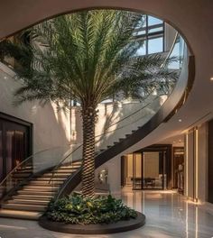 a palm tree in the middle of a room with stairs leading up to an open floor plan