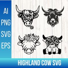 three cow heads with flowers on them and the words highland cow svg