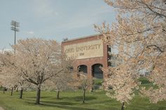 trees with white flowers in front of a building that reads idaho university, on the side of a road