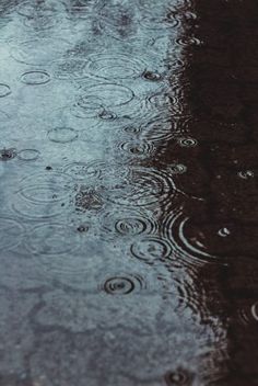 raindrops are falling on the ground and reflecting in the wet water that has been puddled onto