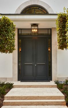 an entryway with steps leading up to the front door and potted plants on either side