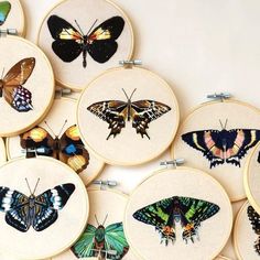 a bunch of different types of butterflies in embroidery on a white surface with pins attached to the hoop