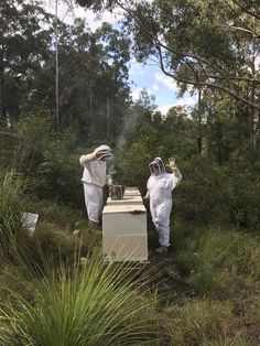 Hello from the Two Busy Bees Apiary - My Dad and I say G'Day from our Apiary while we are checking on the bees Korean Farm, Fresh Honeycomb, Farm Date, Flow Hive, Bee Farm, Creamed Honey, Bee Keeper, Farm Tour, Father And Daughter