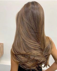 Ladies Hairstyles, Breaking Hair, Honey Brown Hair, Brown Hair Looks, Brunette Hair With Highlights, Caramel Hair