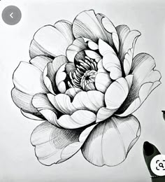 a black and white drawing of a flower on a piece of paper next to a pen