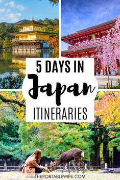 japan with the words 5 days in japan itineries overlayed by images of buildings and trees