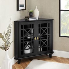 a black cabinet with glass doors in the corner next to a white vase and plant