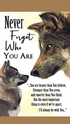 two wolfs facing each other with the words never forget who you are