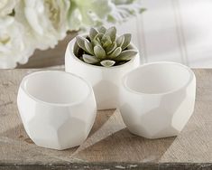 three white vases sitting on top of a table next to a potted plant