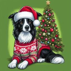 a black and white dog wearing a sweater next to a christmas tree