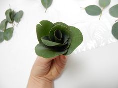 a hand holding a green flower with leaves around it