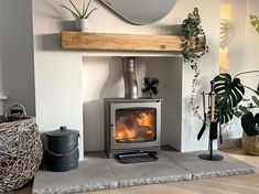 a wood burning stove sitting inside of a living room next to a potted plant