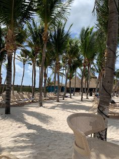 a chair sitting on top of a sandy beach under palm trees