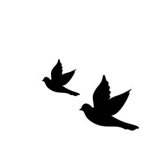 two black birds flying in the sky