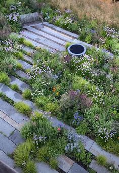 an outdoor garden with lots of plants and flowers on the ground, surrounded by stone steps