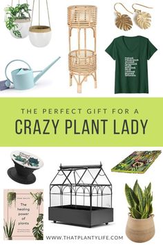 the perfect gift for a crazy plant lady