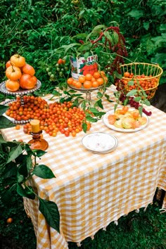 a table topped with oranges and other fruit on top of a lush green field