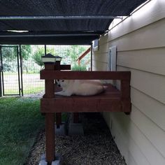 a white dog laying on top of a wooden bench under a shade structure next to a house