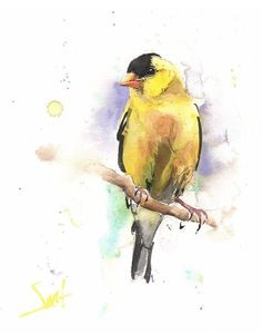 a watercolor painting of a yellow bird perched on a branch