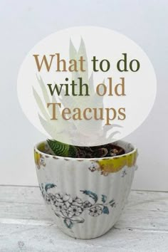 a potted plant with the words what to do with old teacups