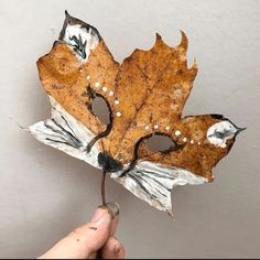 a person holding up a leaf with holes in it