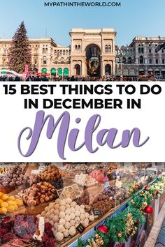 the best things to do in december in mian