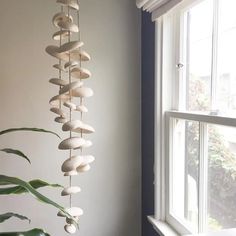 a plant in front of a window next to a white wall