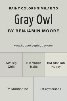 Colors Similar to Gray Owl 2137-60 by Benjamin Moore Bm Gray Owl, Gray Owl Paint, Stonington Gray, Owl Kitchen, Agreeable Gray, House Dream, Paint Color Schemes, Color Schemes Colour Palettes, Gray Owl