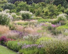 a lush green field with lots of flowers and trees