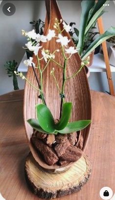 a wooden vase with flowers in it on top of a wood table next to a potted plant