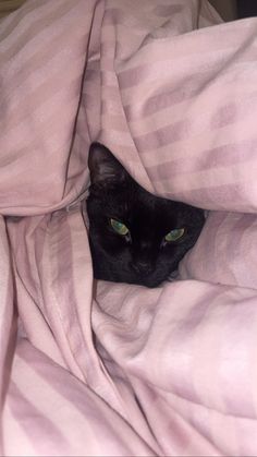 a black cat peeking out from under a pink blanket