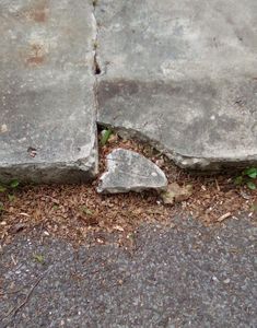 a broken stop sign sitting on the side of a road