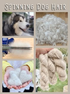 there are many different types of yarns and their names on this page, including the words spinning dog hair