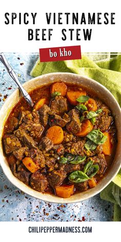 spicy vietnamese beef stew in a bowl with text overlay